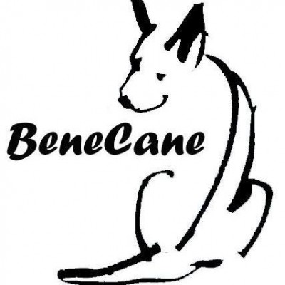 BeneCane