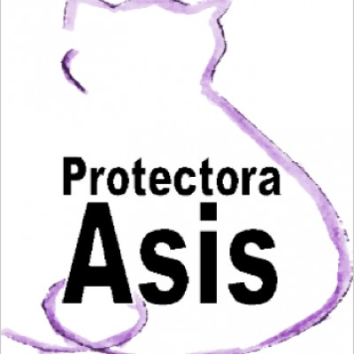 Protectora ASÍS de Oviedo, Asturias