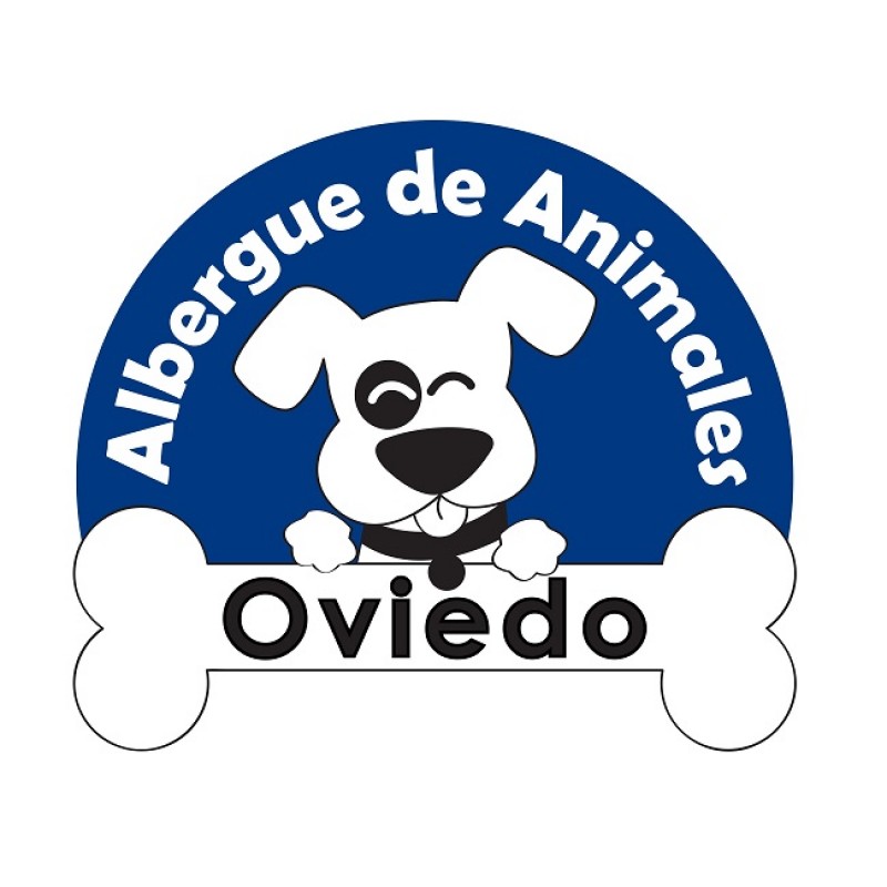 grano fábrica yo mismo Albergue de Animales de Oviedo - Albergaria - La Nueva España