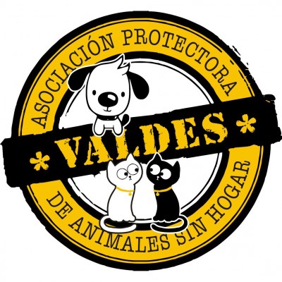 Animales sin hogar Valdés