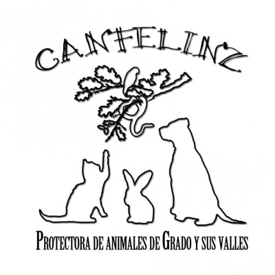 Canfelin´z Protectora de Grado y sus Valles 