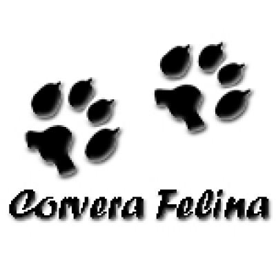 Corvera Felina