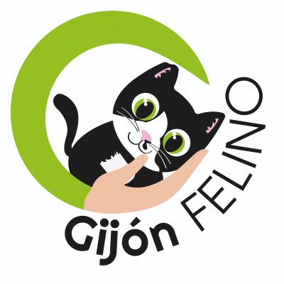 Gijón Felino
