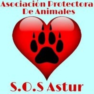 SOS astur