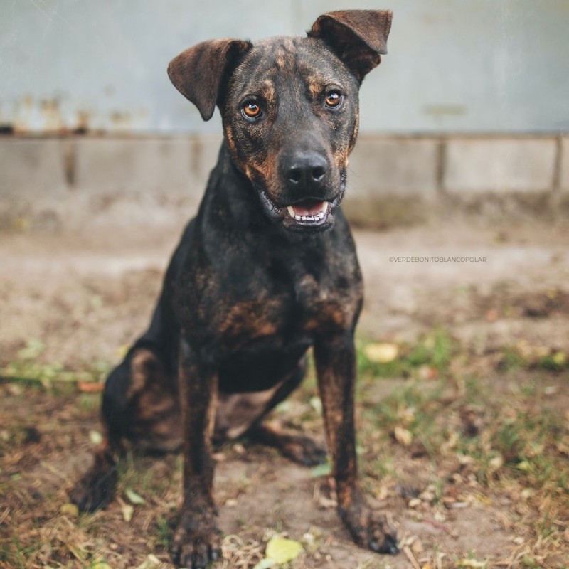 Fotos DRAKO