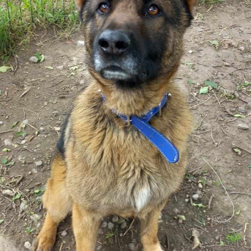 Fotos URKO