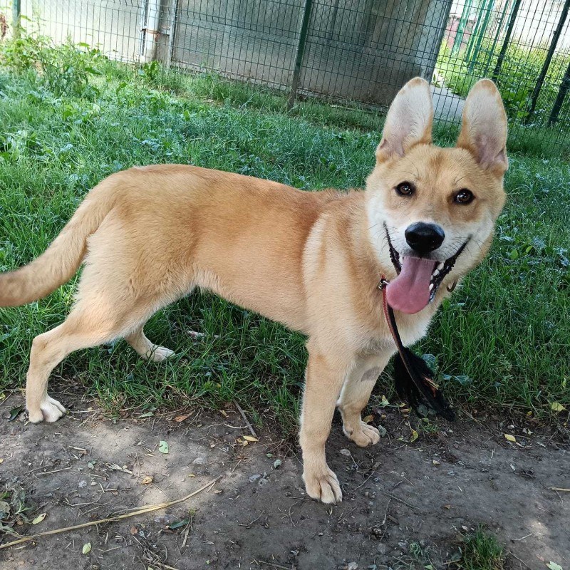 Fotos Kaco