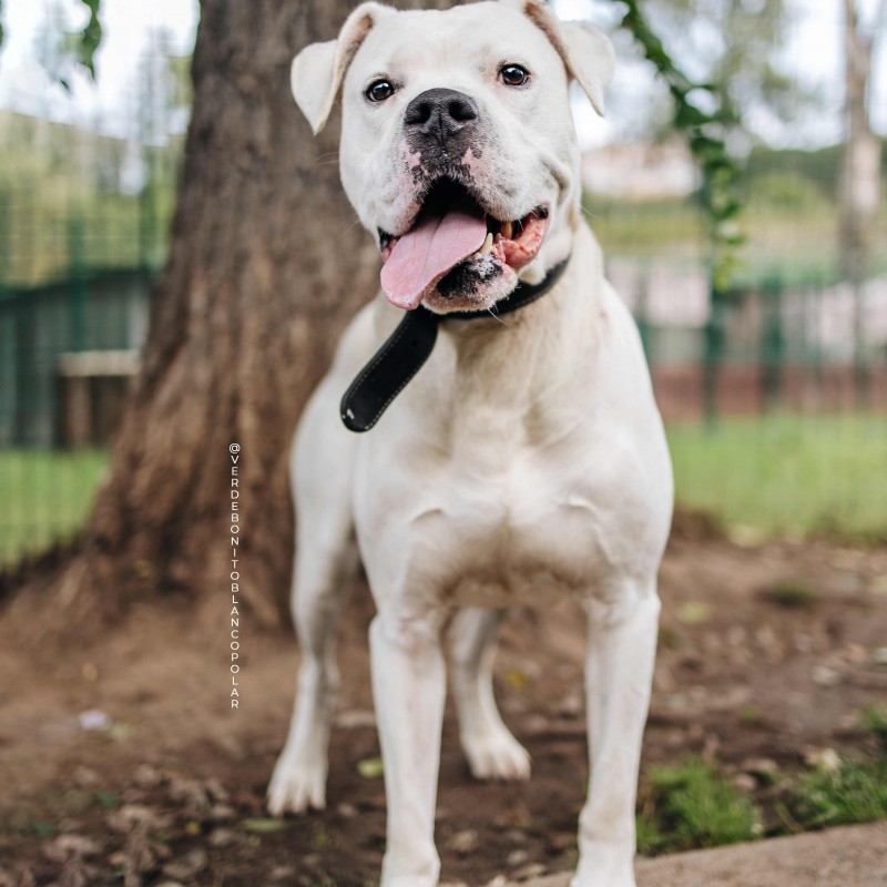 Fotos Thor