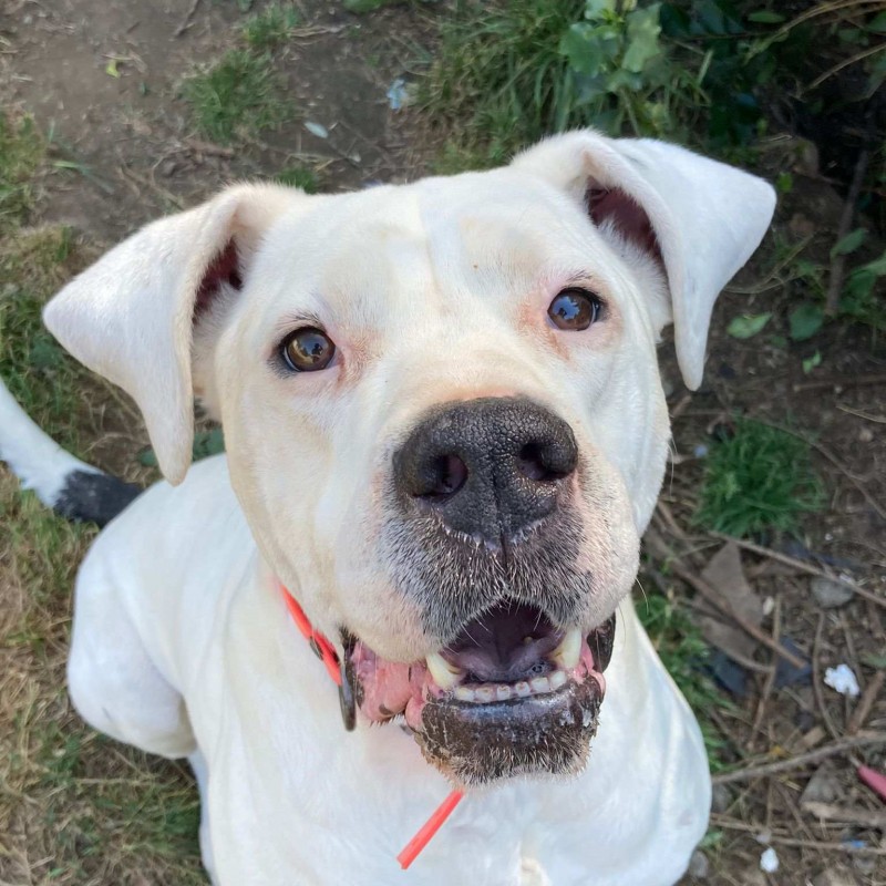 Fotos WILSON (GORDO)