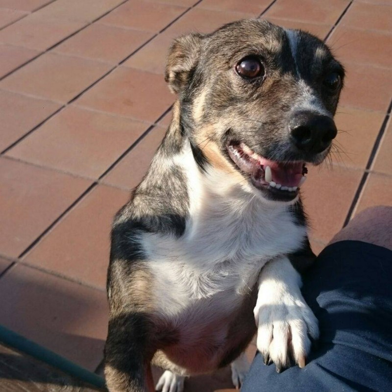 Fotos Tao