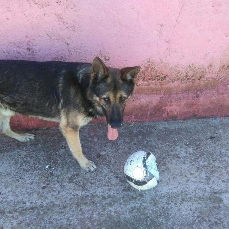 Fotos Rem