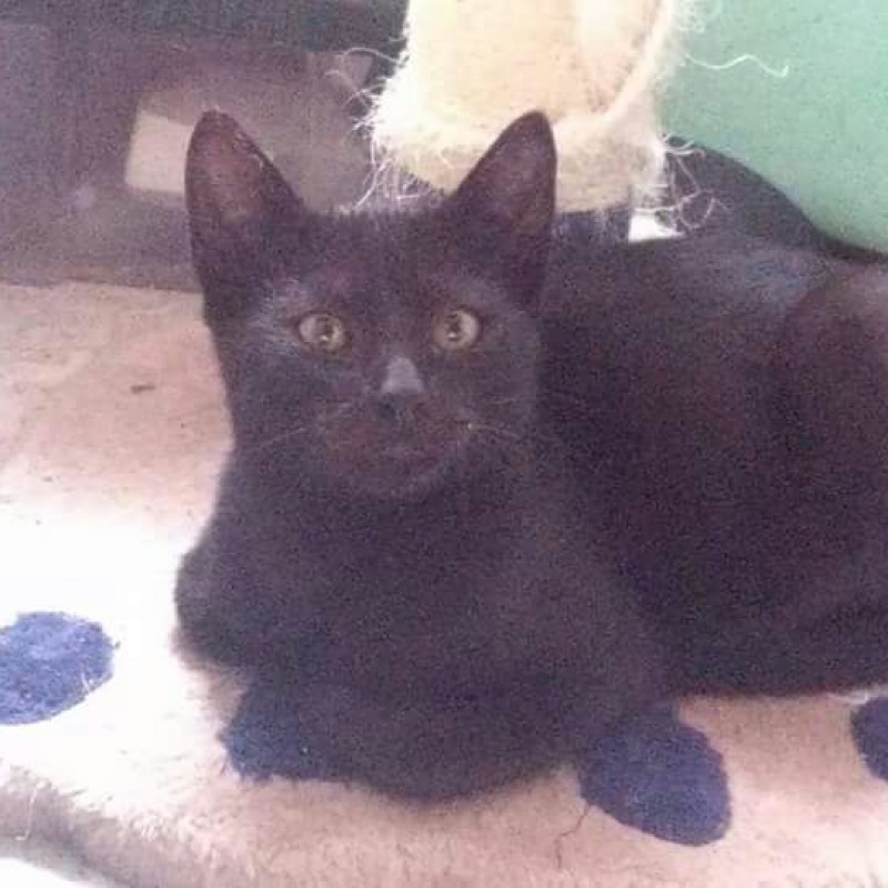 Fotos Ismael