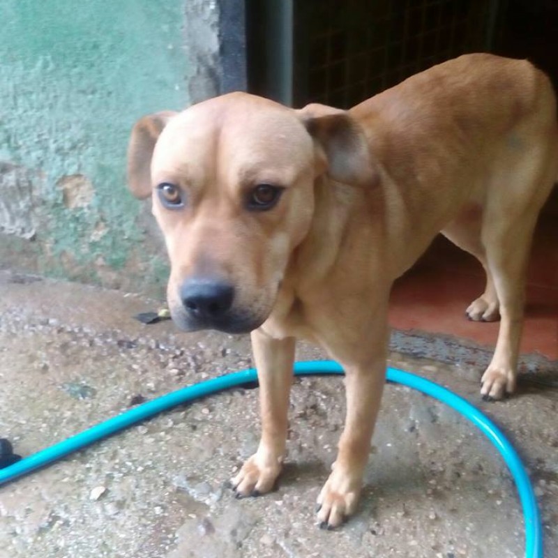 Fotos Sugus