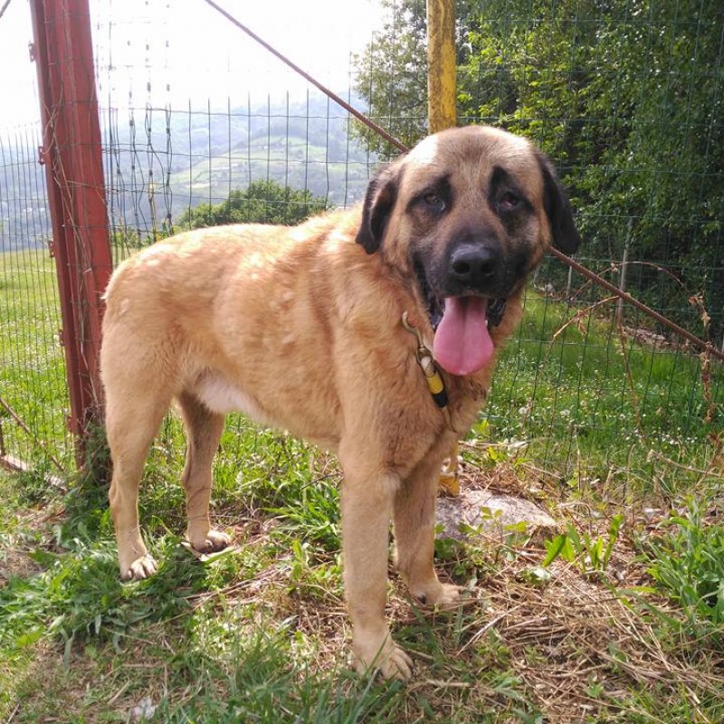 Fotos Titi