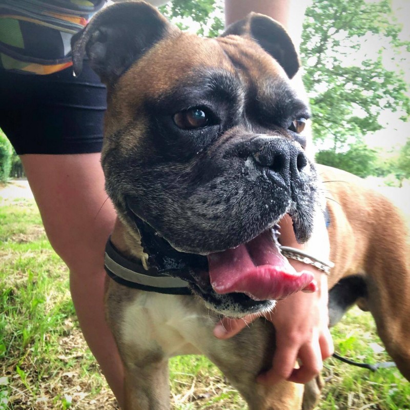 Fotos Thor