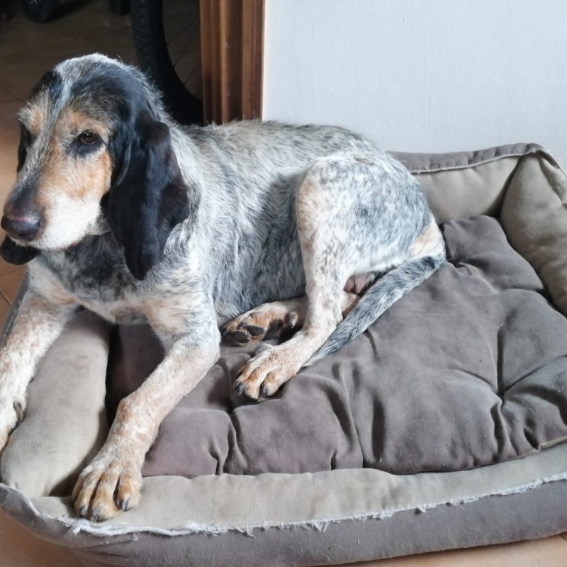 Fotos Luna