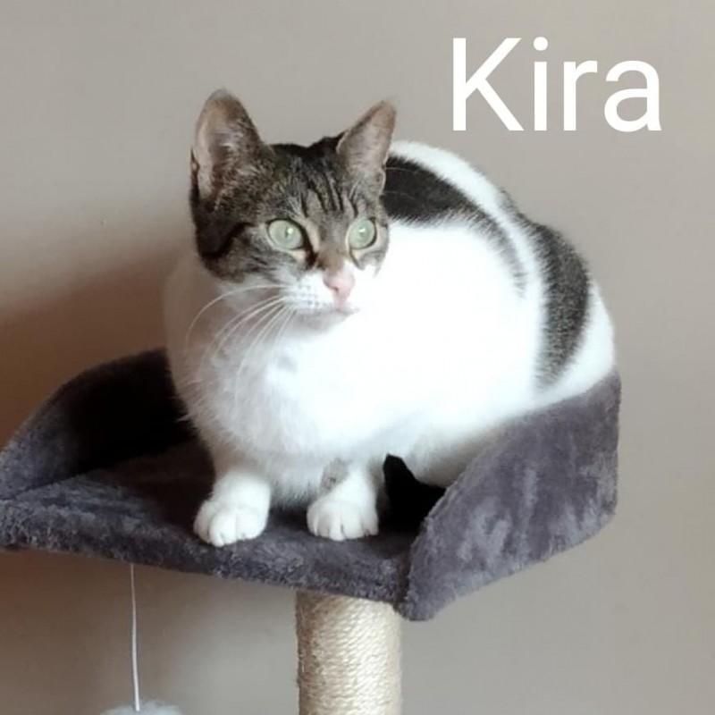 Fotos Kira