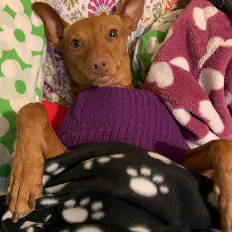 Fotos Luna
