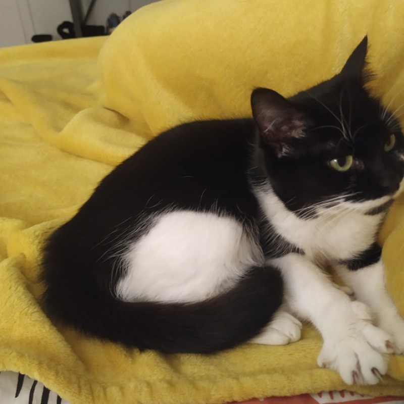 Fotos Bimba