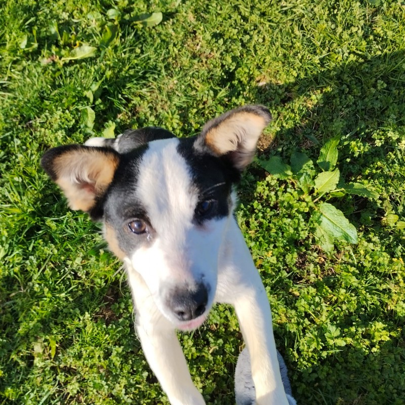 Fotos Peque