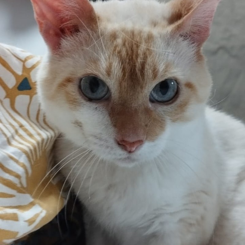 Fotos Obi Wan