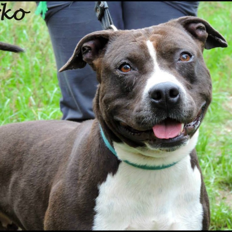 Fotos Urko
