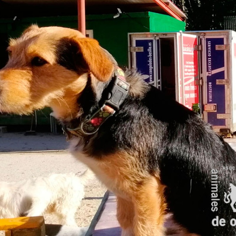 Fotos Noa