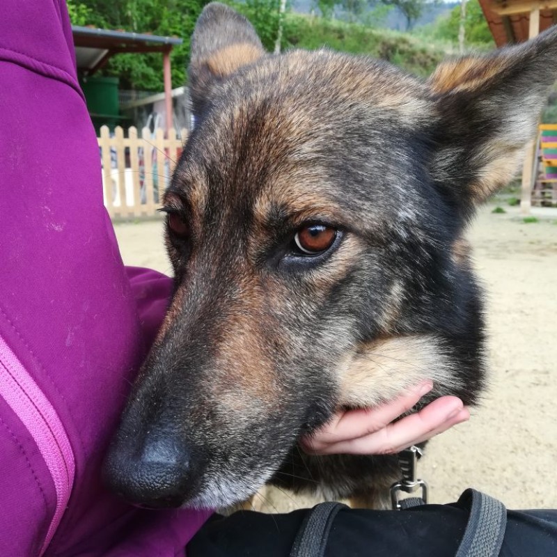 Fotos Fumu