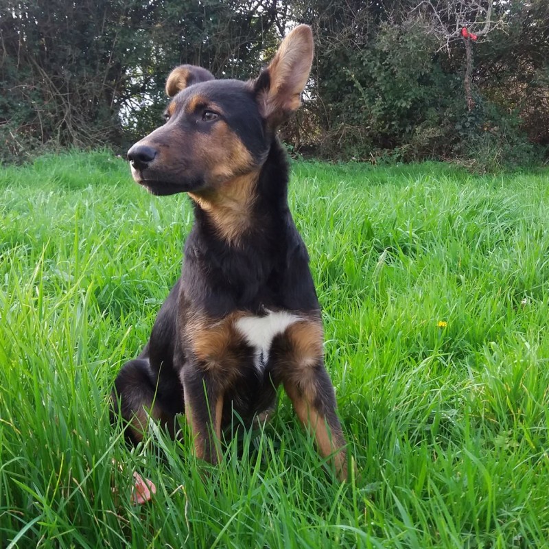 Fotos Luki
