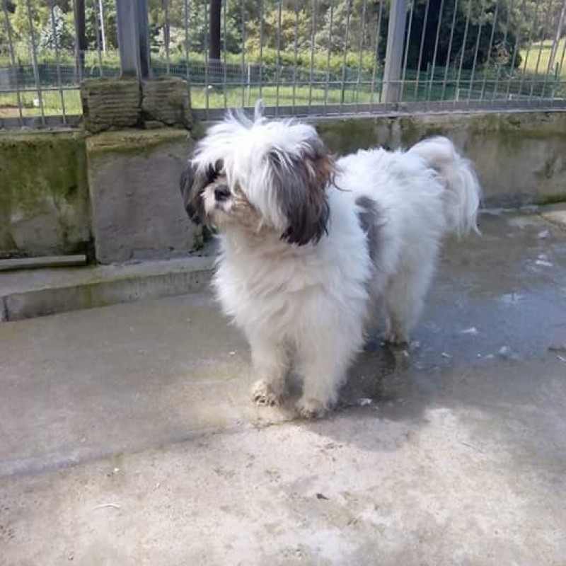 Fotos Jack