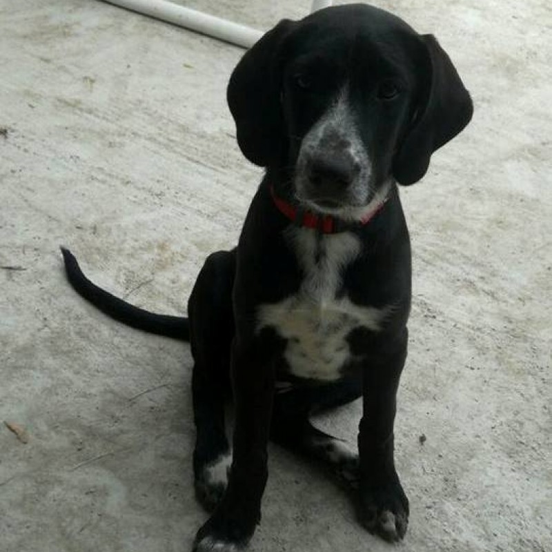 Fotos Bimba
