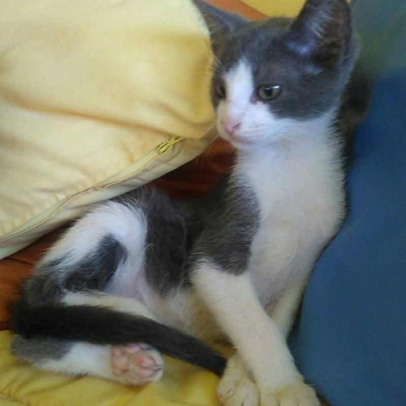 Fotos Jerry