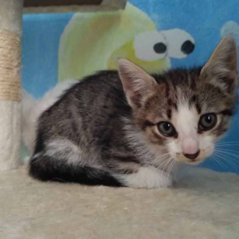 Fotos Fredy