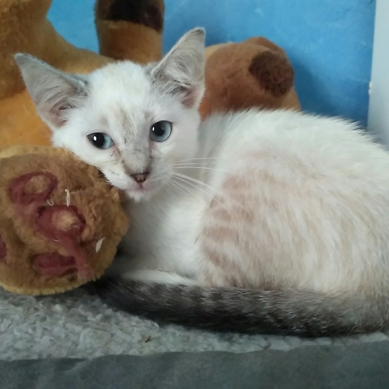 Fotos Morgana