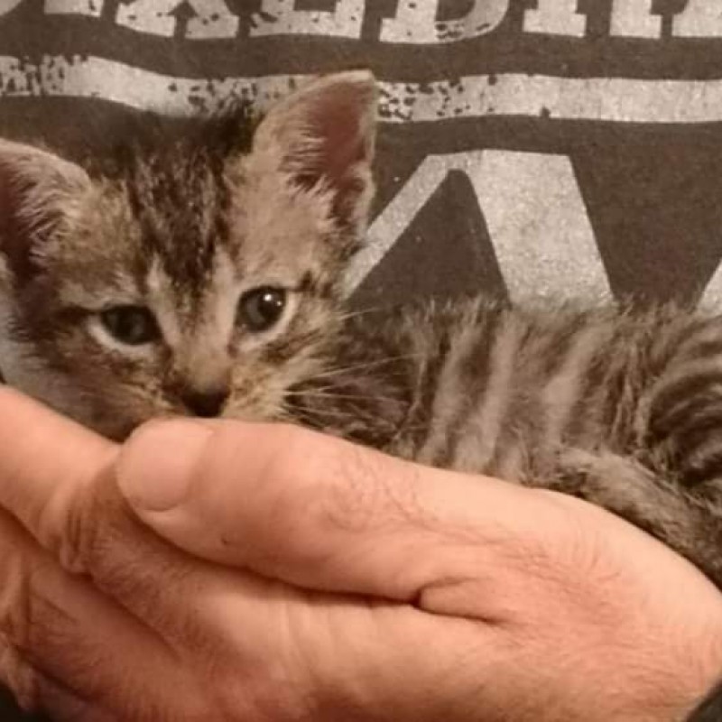 Fotos Lilith