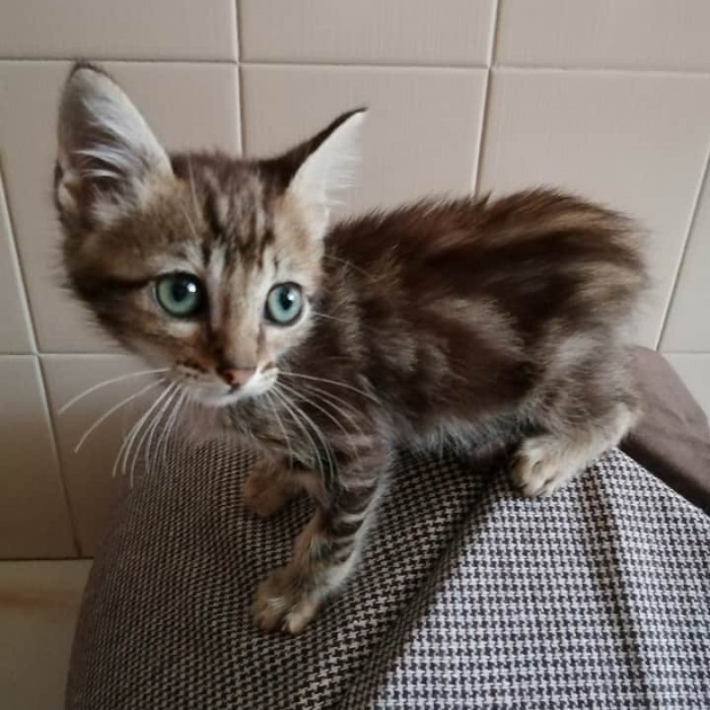 Fotos Morty