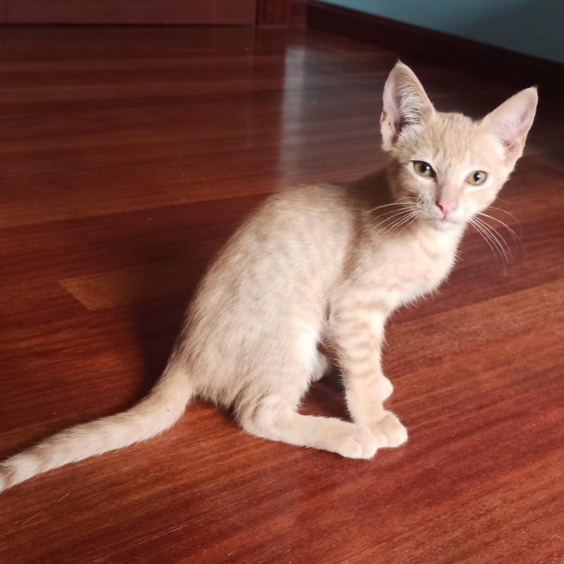 Fotos LEO