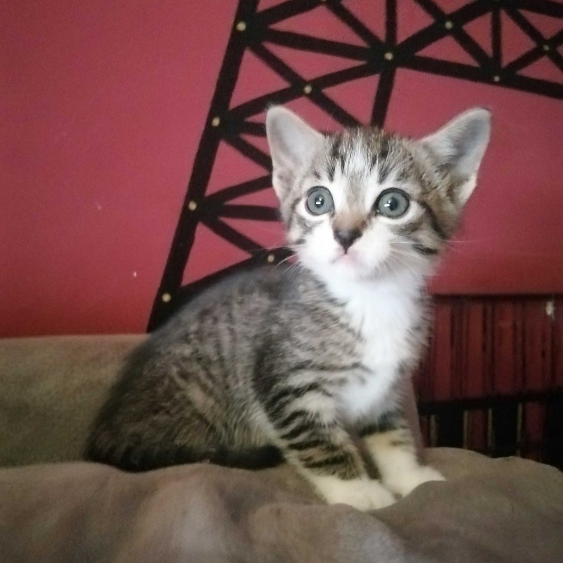 Fotos NIKO