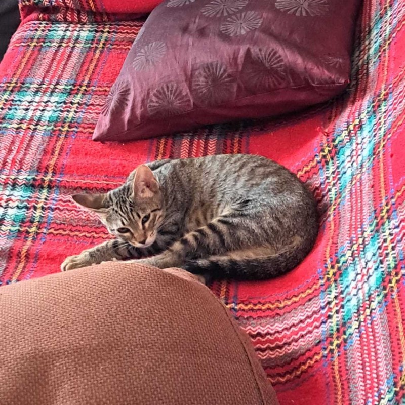 Fotos PEPI