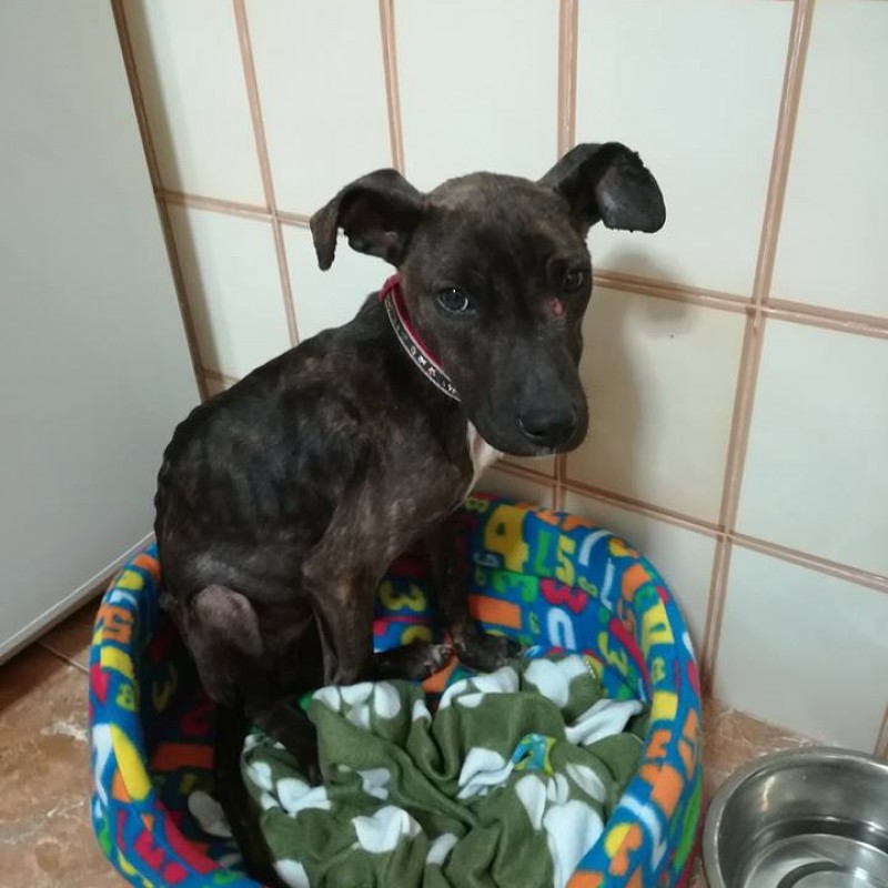 Fotos Mimbra