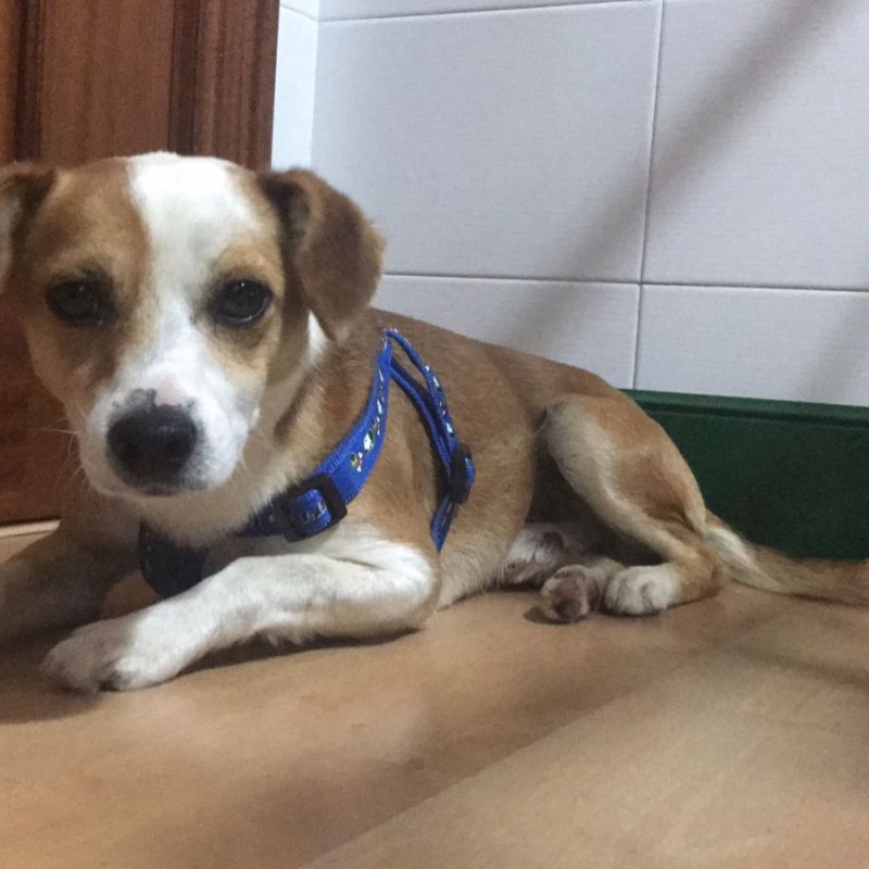 Fotos Meko