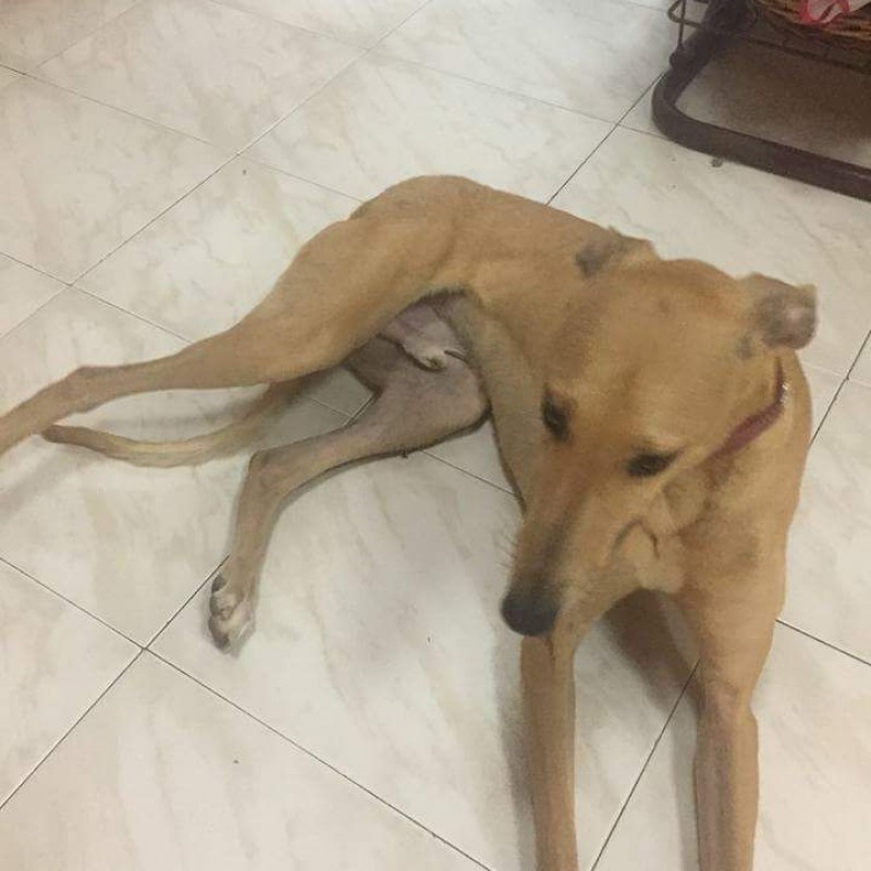 Fotos Luffi