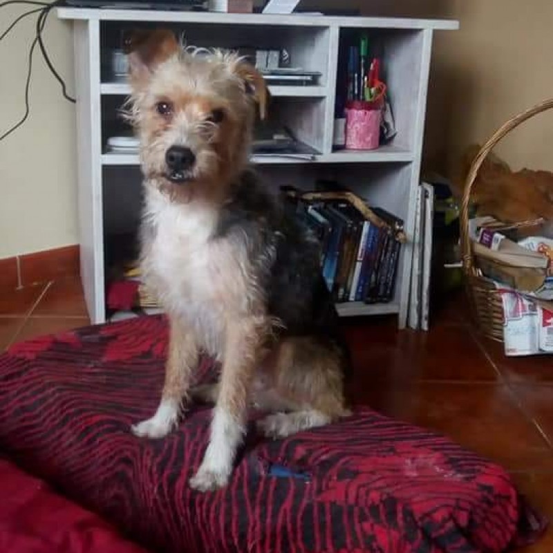 Fotos Rocky