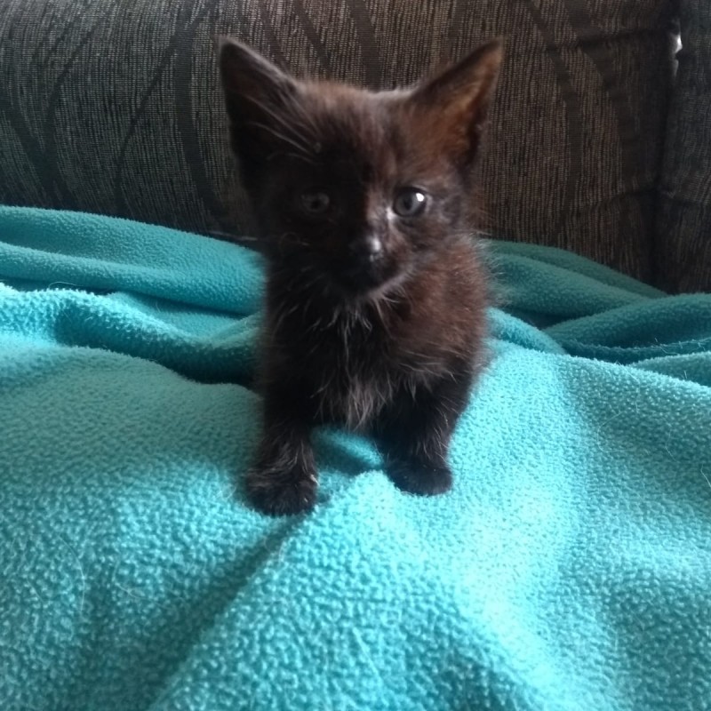 Fotos Sofi