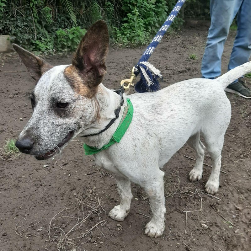 Fotos Luna