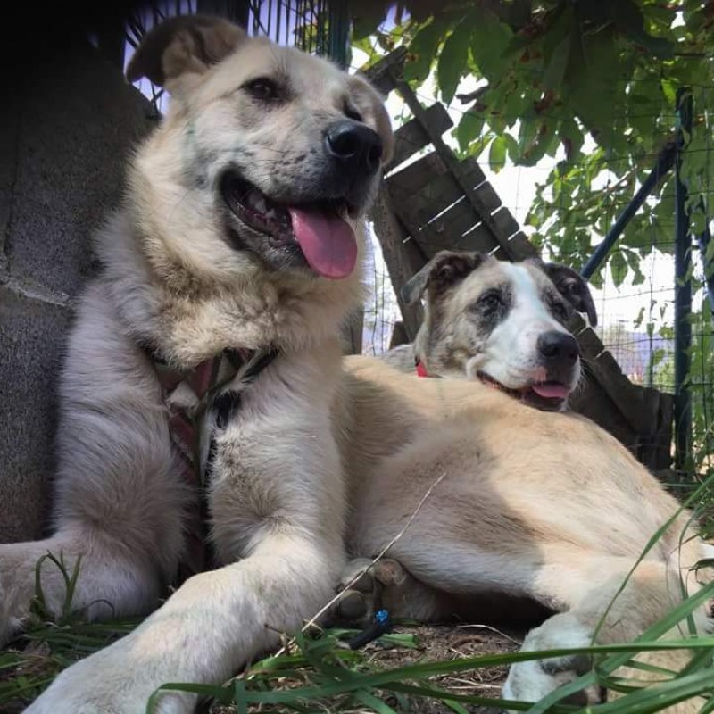 Fotos Luna 