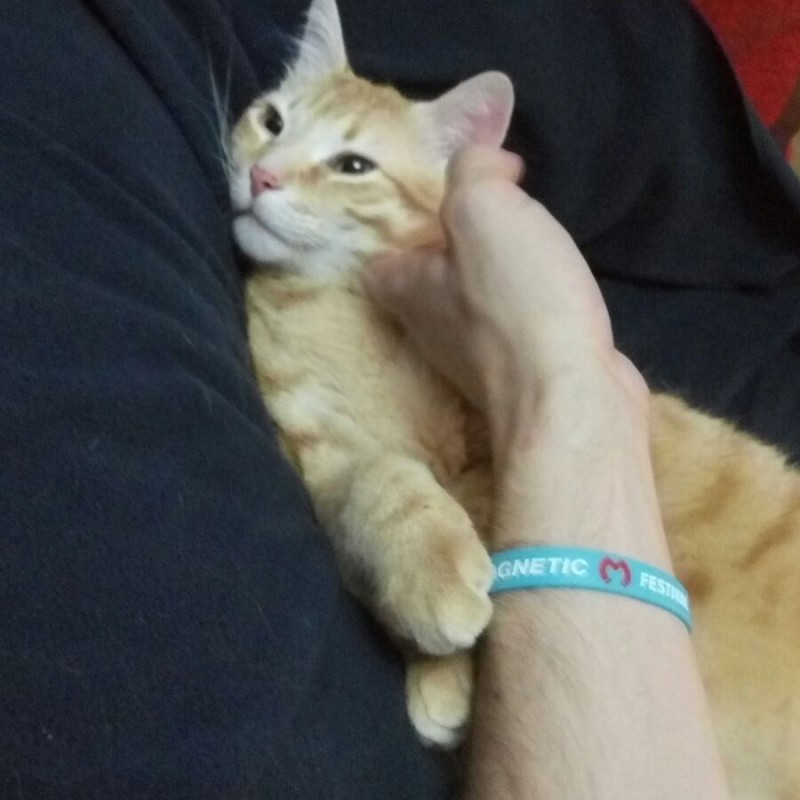 Fotos Kobu