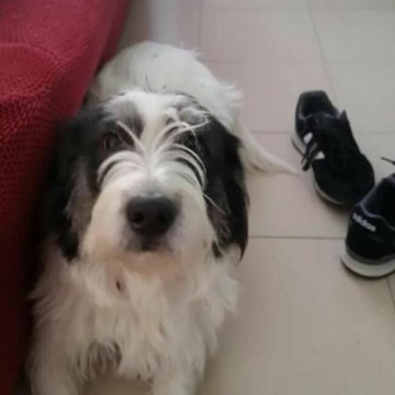 Fotos Luna