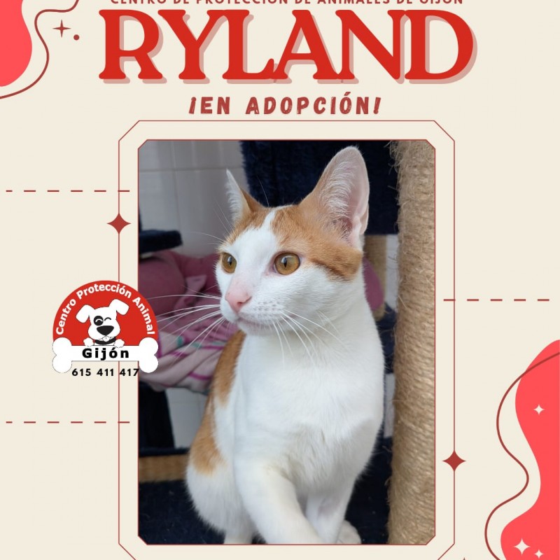 Fotos Ryland