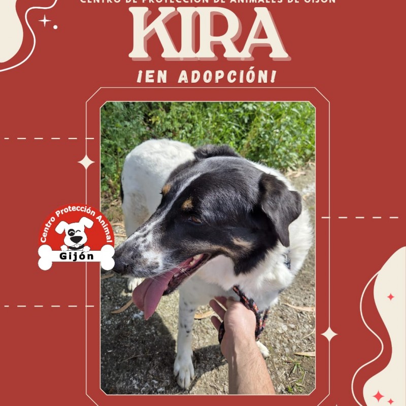 Fotos Kira